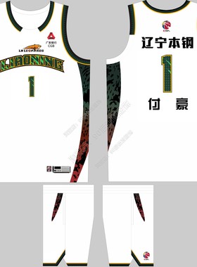 CBA辽宁队球衣白色新款赵继伟3号付豪1号王岚嵚33号姜宇星9号定制