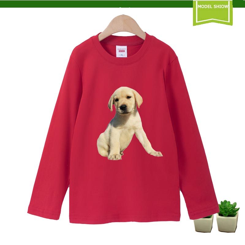 宝宝卡通衣服男女孩秋装长袖t恤天天5儿童3图案生肖小狗队童装4岁