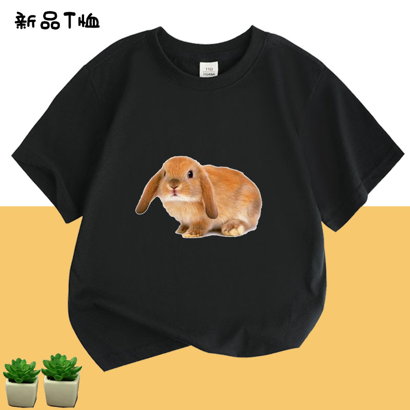 女童短袖T恤宝宝纯棉夏装卡通动物小白兔子上衣儿童衣服夏季2025