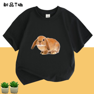 女童短袖T恤宝宝纯棉夏装卡通动物小白兔子上衣儿童衣服夏季2025