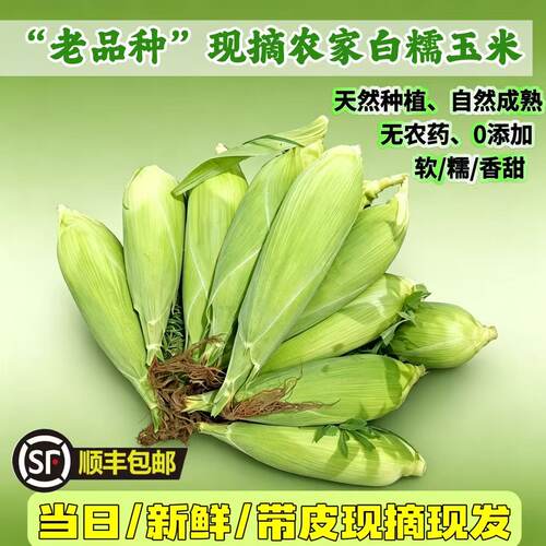 梅州农家甜糯玉米现摘顺丰包邮