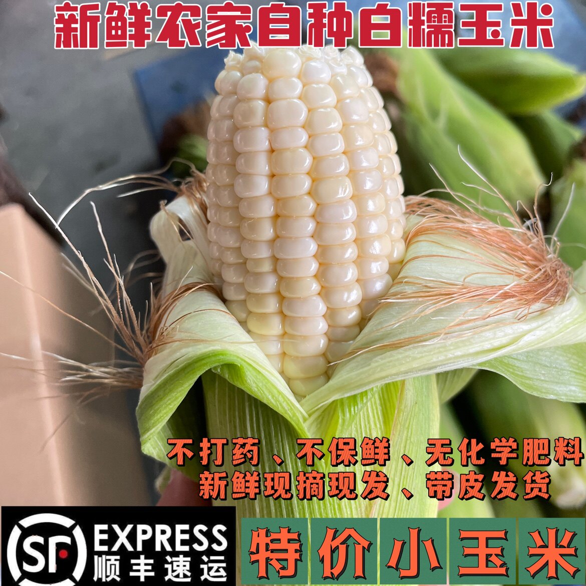 5斤顺丰包邮农家甜糯特价玉米黏苞当季新鲜带皮现摘现发非转基因