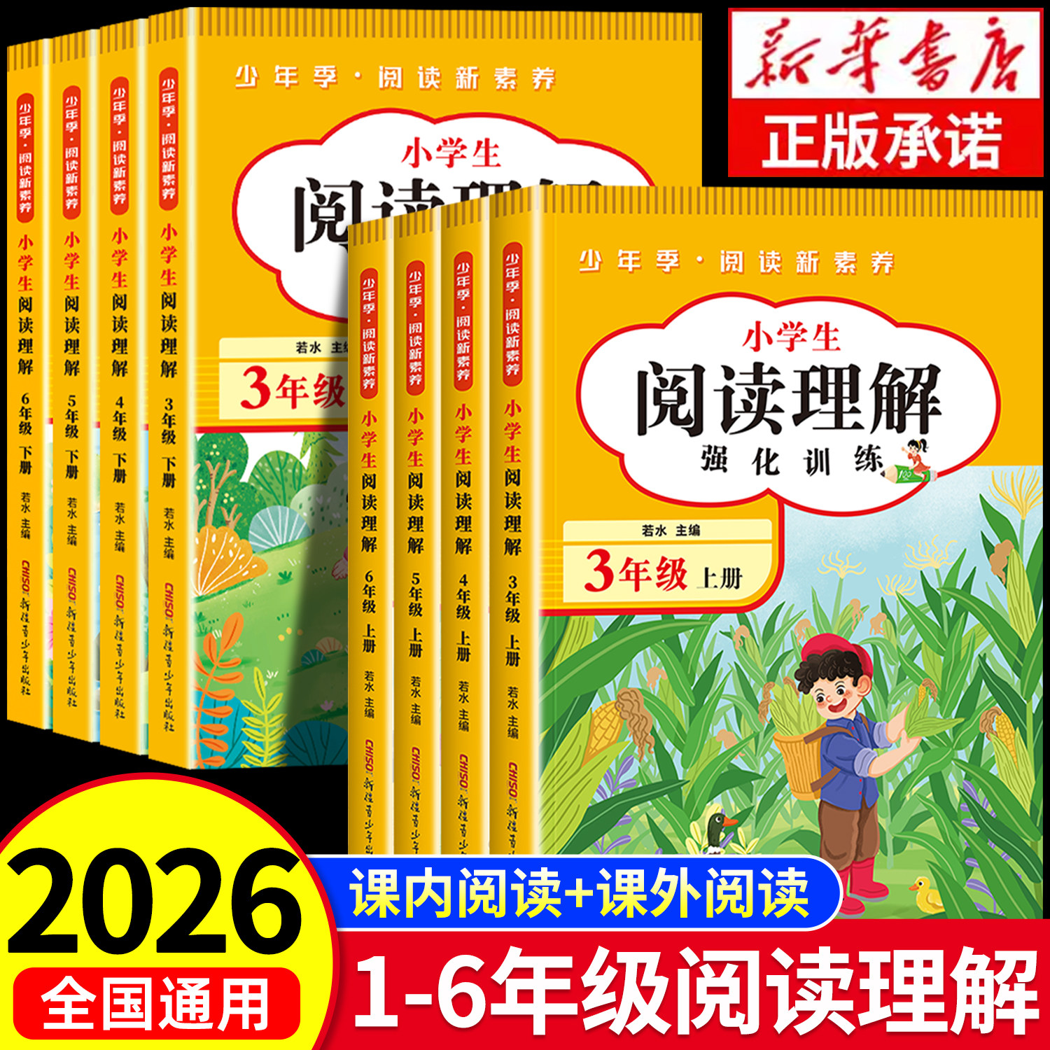 阅读理解专项训练书一二年级三年级四五六小学语文人教版上册下册课内外阅读强化训练真题100篇公式法答题技巧每日一练同步练习册