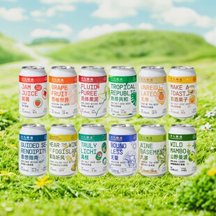 大九酿造国产精酿啤酒就酱西柚世界无序古斯酸啤果啤浑浊ipa混搭