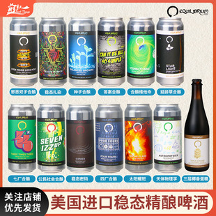 美国进口 稳态精酿啤酒473ml波动波弦理论3号莫比乌斯2号浑浊艾尔