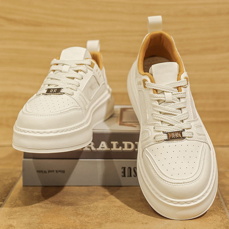 鞋子男款2025新款小白鞋超火高级感板鞋休闲夏季男鞋透气薄款潮鞋