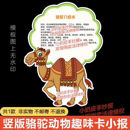 竖版动物介绍骆驼趣味卡片手抄报模板电子版黑白线创意简笔卡通画