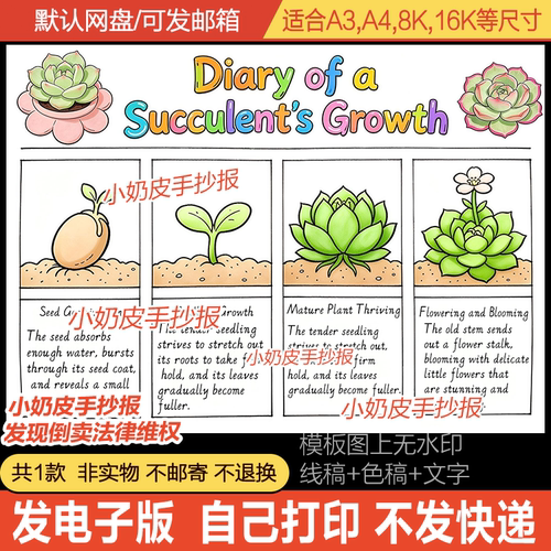 英语版多肉生长记手抄报成长记英文植物自然观察日记小报模板电子
