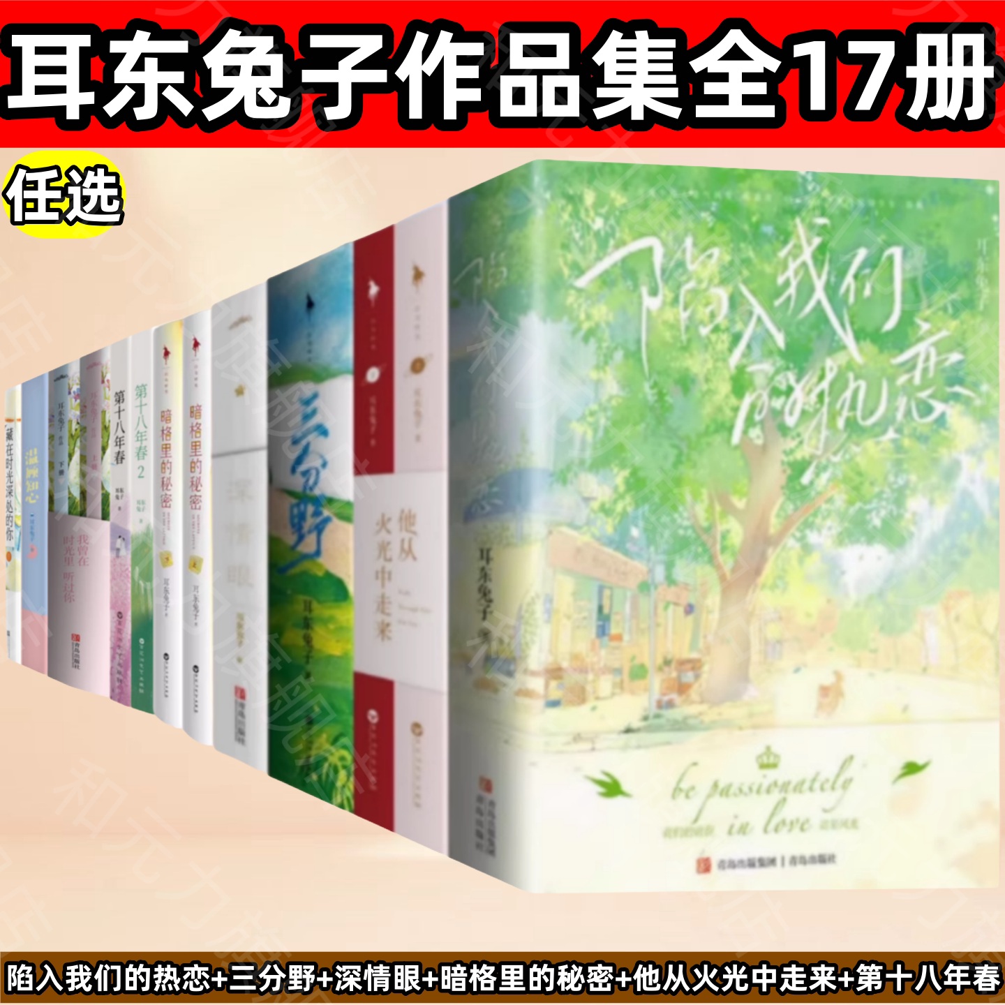 耳东兔子作品17册陷入我们的热恋