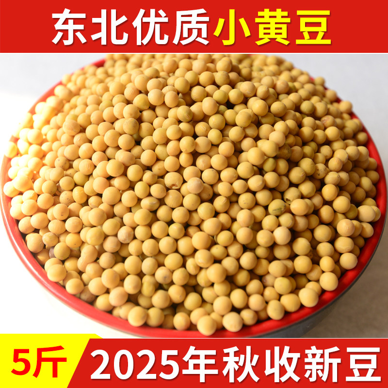 2025年新豆黄农家小园自产5斤装