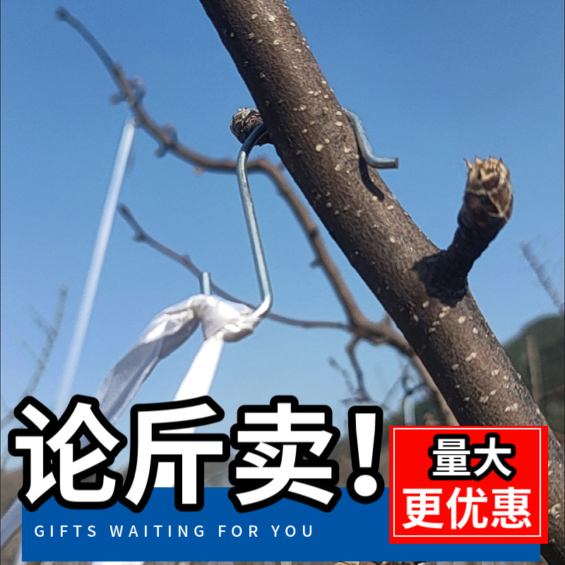 果树拉枝钩多功能挂钩