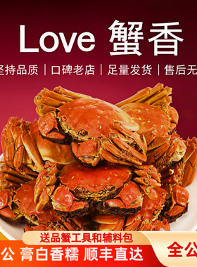 活蟹全公蟹小吴大闸蟹3.5两螃蟹鲜活大公官方旗舰小蟹农顺丰包邮