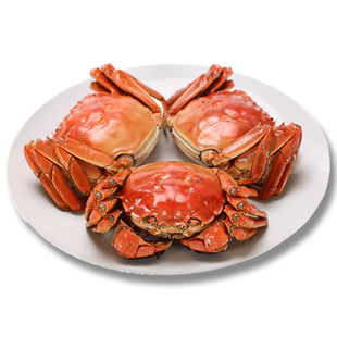 【礼券】蟹小吴阳澄湖大闸蟹提货卡公5两母4两10只中秋礼品卡