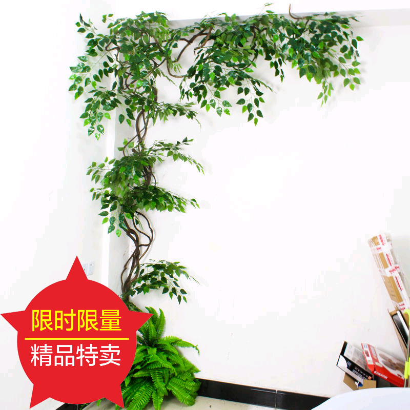 仿真榕树叶红枫叶工程装饰假树枝造型绿植树叶塑料银杏叶子榕树枝|ruв категории доставка цветов/цветок моделирования/растения садоводства, искусственные цветы/растения/фрукты и овощи готовой продукции (новая), моделирование растения - от Buy2taobao.com для оказания профессиональной услуги покупки агента Taobao