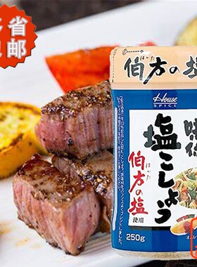 日本进口好侍盐味胡椒粉