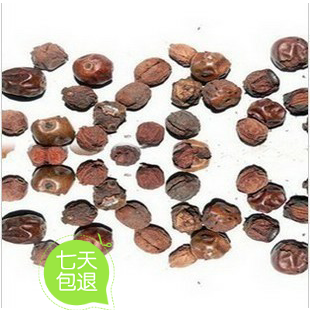 正品冷背中药材/散装/ 枸骨子 功劳子 鸟不宿 猫儿刺 包邮