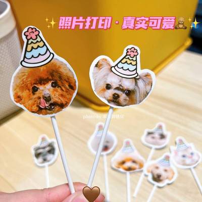 乖豆家 宠物头像狗狗猫咪头像 定制照片打印有轻微色差宠物头像