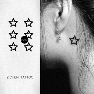 ZICHEN 仿真 五角星甜美气质百搭网红草本纹身贴纸防水持久女个性