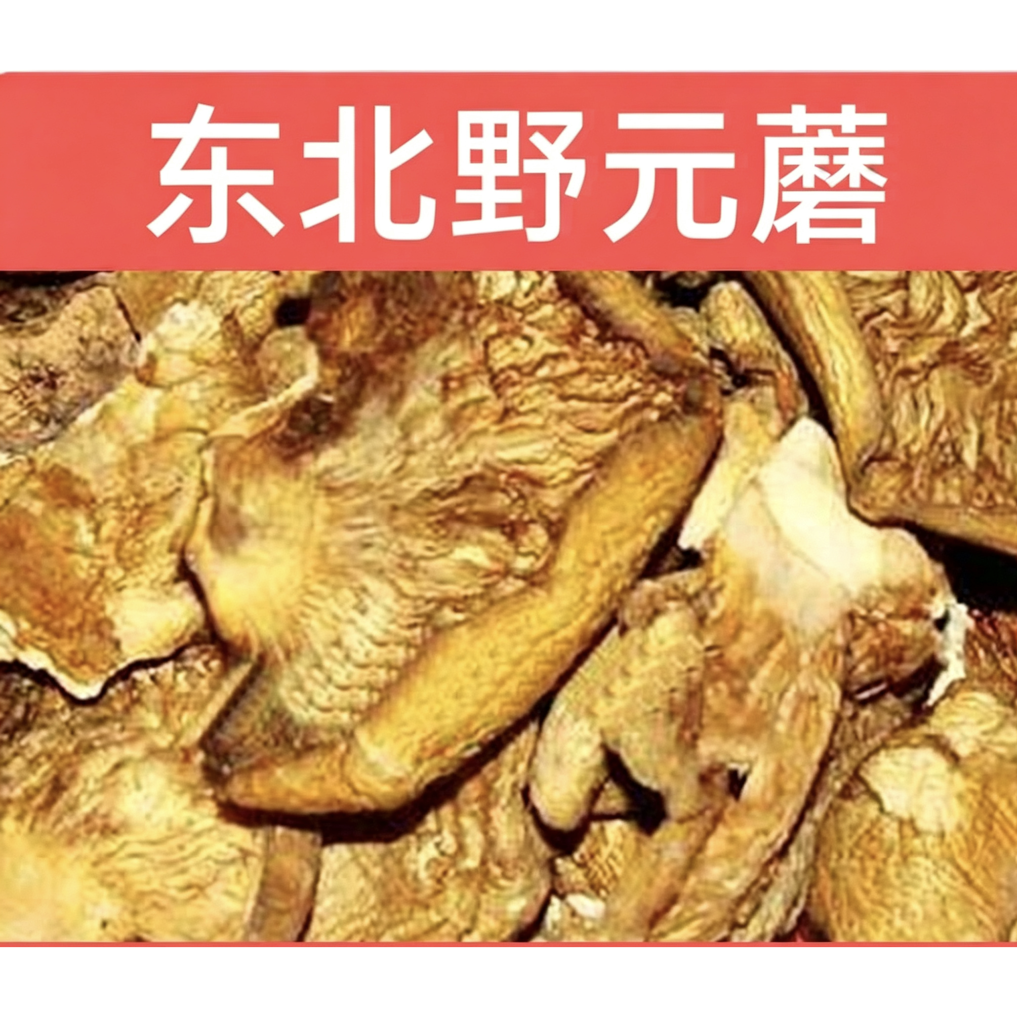 产地直销野生元蘑长白山元蘑冻蘑