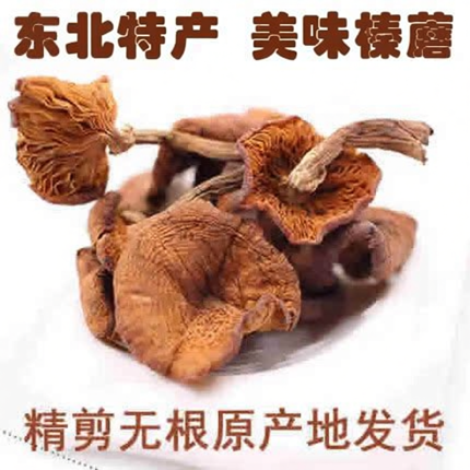 东北特产野榛蘑小鸡炖蘑菇干货农家榛蘑美味榛蘑500g包邮