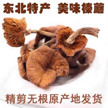 东北特产野榛蘑小鸡炖蘑菇干货农家榛蘑美味榛蘑500g包邮