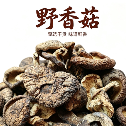东北野香菇特产野货冬菇小鸡炖蘑菇山香菇250g