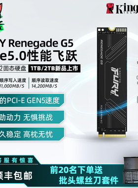 金士顿Kingston 1T 2T 4T G5高速固态硬盘PCIe 5.0 NVMe M.2 SSD