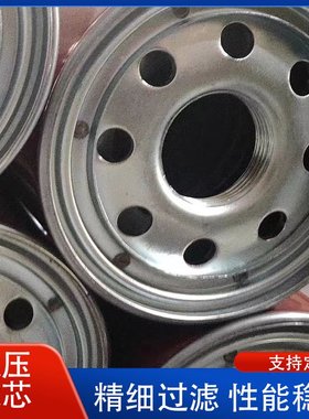 65605001010BUCHER-GUYER液压油滤芯布赫液压滤芯