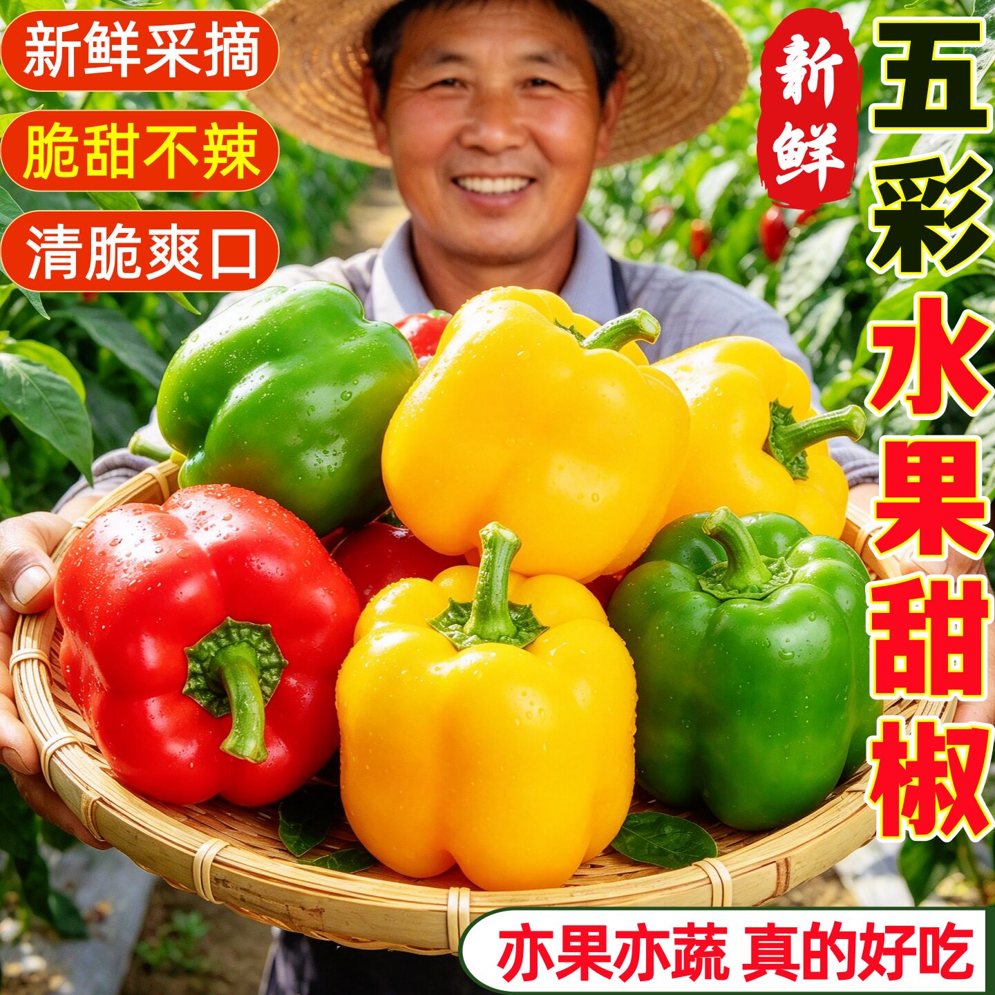 山东五彩水果甜椒新鲜现摘生吃彩椒圆椒红椒黄椒七彩甜椒蔬菜沙拉