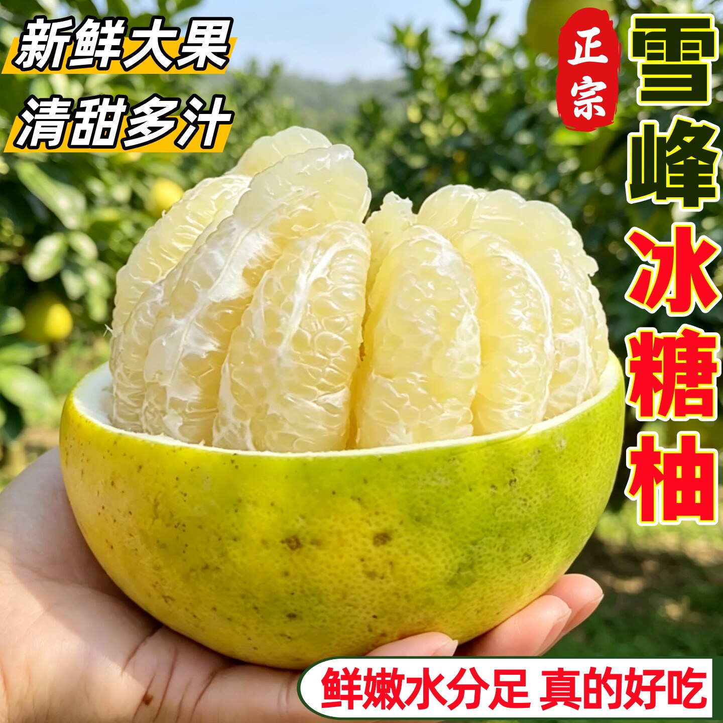 正宗湖南雪峰冰糖柚脆甜多汁
