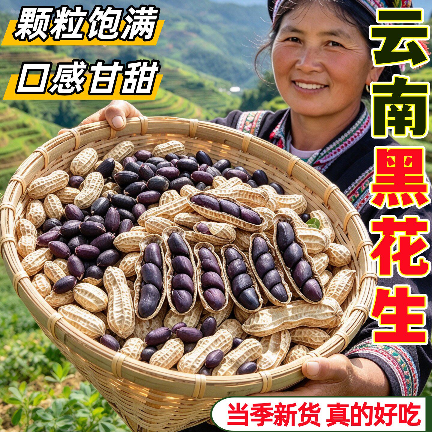 云南高原黑花生今年新货黑皮花生富硒自然晒干颗粒饱满带壳花生米