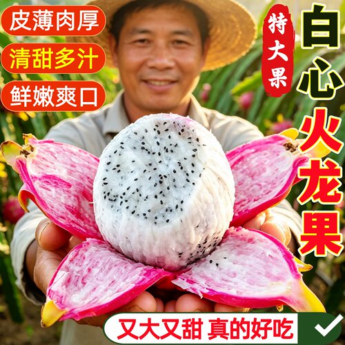 白心火龙果新鲜当季现摘皮薄清甜