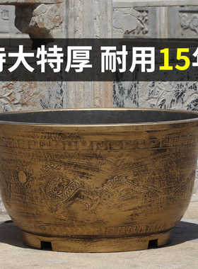 睡莲老式古法户外庭院家里乌龟缸