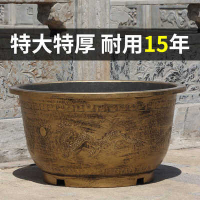 睡莲老式古法户外庭院家里乌龟缸