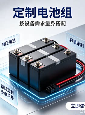 全新定制通讯1865021700锂电池