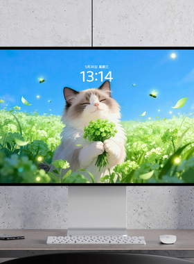 猫咪鲜花 可爱治愈萌宠漫画 清新 电脑mac手机ipad壁纸watch壁纸