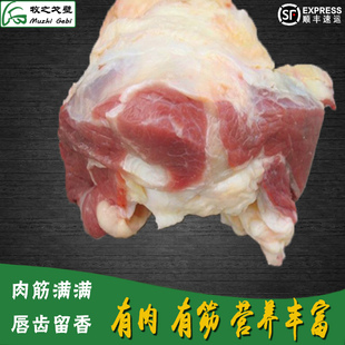 牧之戈壁牛窝骨筋 内蒙古草原牛肉新鲜牛肉筋 牛膝盖骨牛筋头巴脑