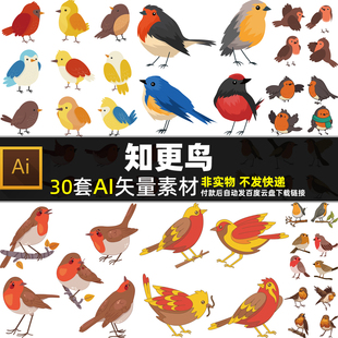 知更鸟AI矢量素材鸣禽鸟类插画卡通小鸟红襟鸟知更雀小雀图片打印