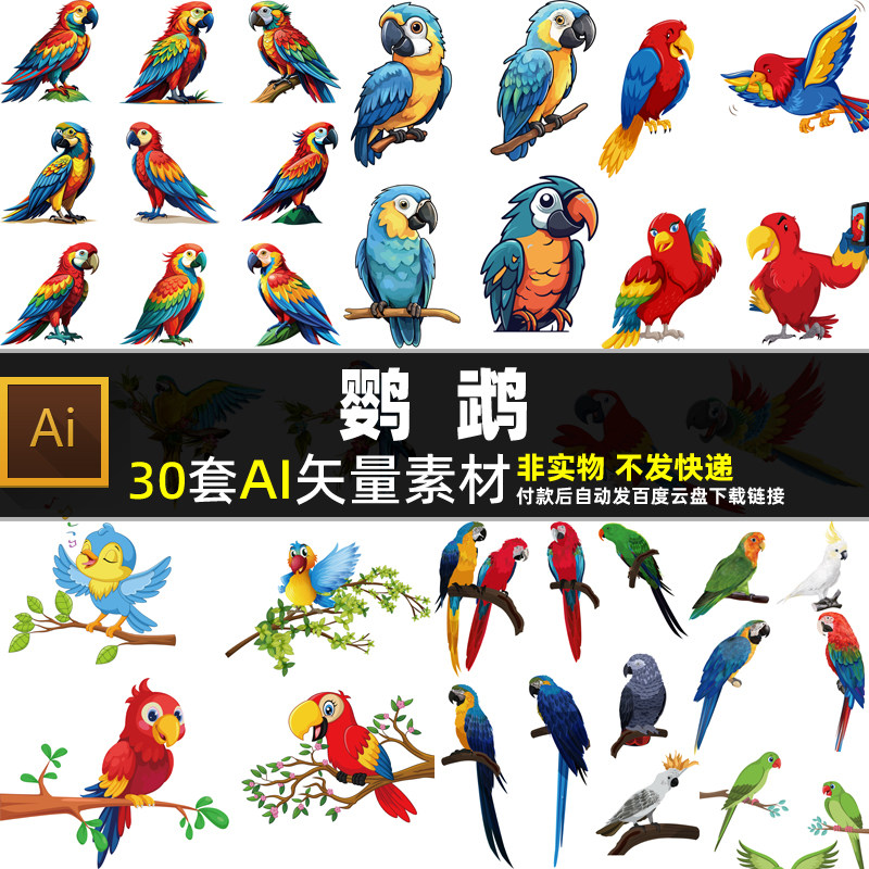 鹦鹉ai素材矢量素材卡通鸟类 手绘动物 宠物八哥表情鹦哥小鸟图片