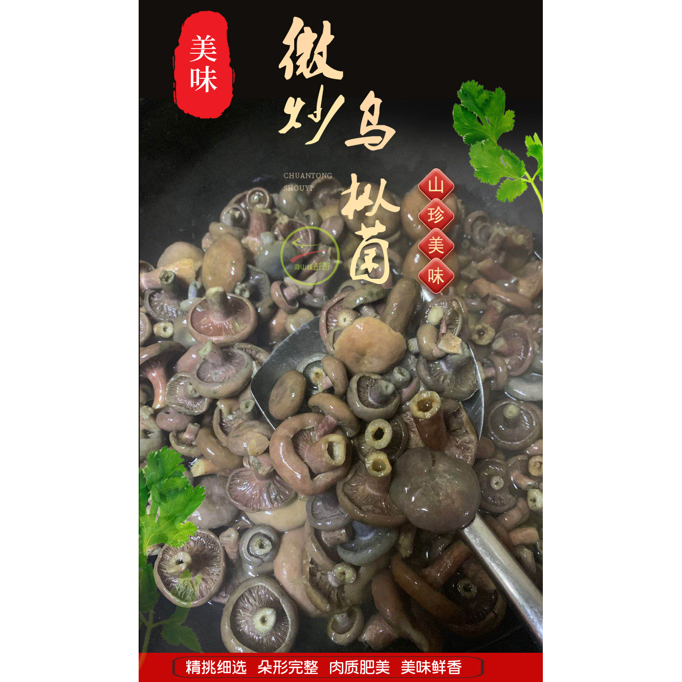 湘西新鲜湖南雁鹅三九菇重阳枞树