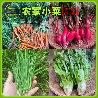 农家小菜新鲜时令蔬菜