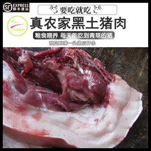 湘西新鲜土猪肉黑土猪肉农家粮食玉米红薯猪草喂养2024年一年多猪