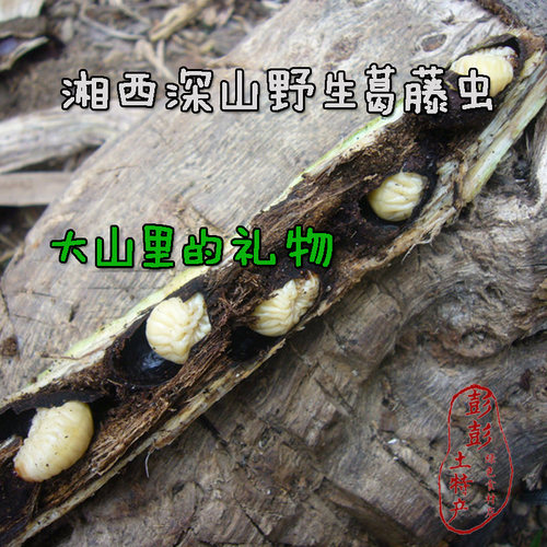 湘西特产新鲜腊鱼腊田鱼腊河鱼