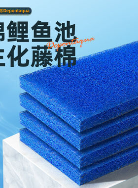 大禹德邦锦鲤鱼池专用过