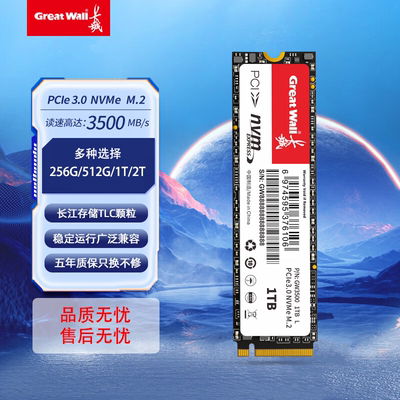 长城GW3500 256G 1T 2T M.2 NVMe pcie 3.0 台式机笔记本固态硬盘