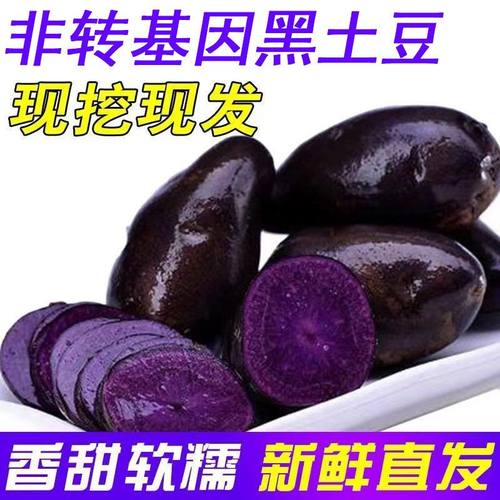 甘肃紫色富含花青素包邮马铃薯