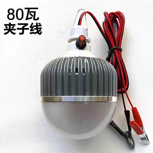12V伏调光水led灯低压电瓶电动车48V60摆摊变光灯泡