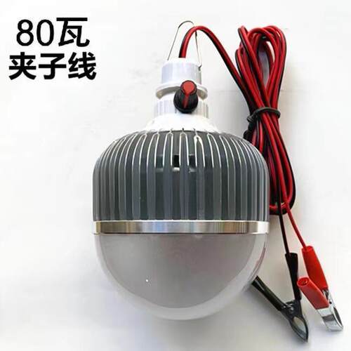 12V伏调光水led灯低压电瓶电动车48V60摆摊变光灯泡