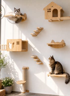 仨泰家猫咪太空舱爬架免组装