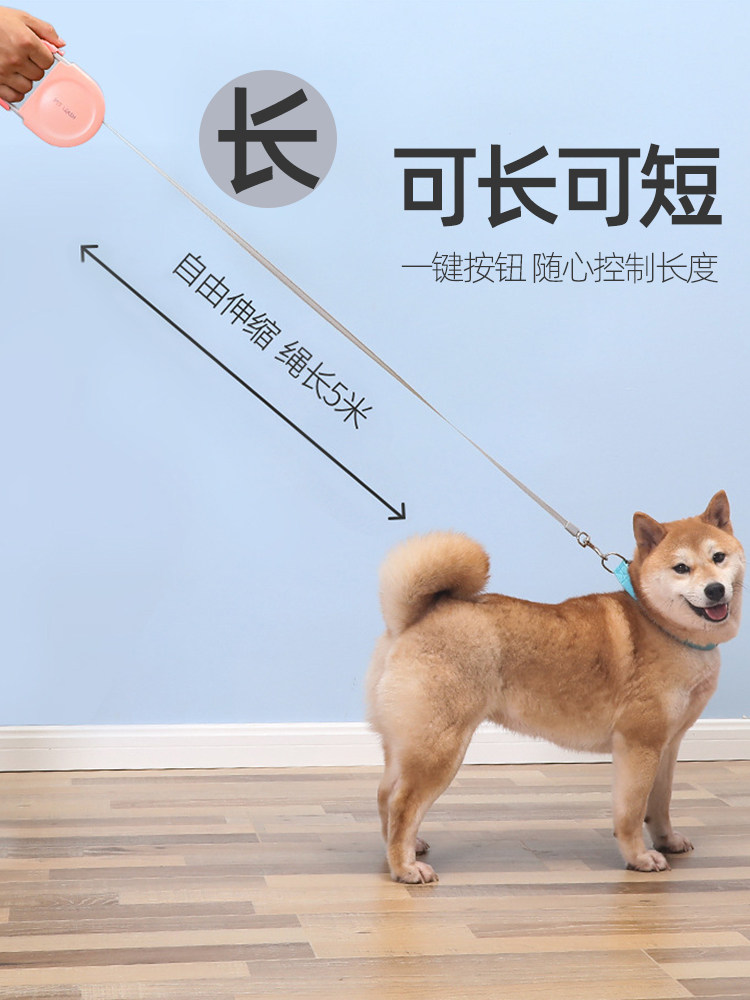 狗狗猫宠物可猫伸缩牵引绳动绳子咪自兔子溜遛狗poi引带大中小牵
